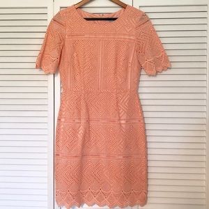 Antonio Melani Peach Eyelet Dress, size 6